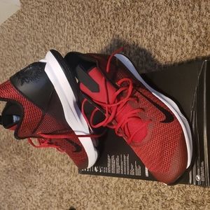 Nike Lebron Witness IV